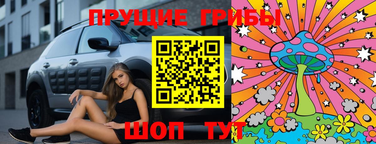 где можно купить наркотик  Дедовск  Псилоцибиновые грибы мицелий 